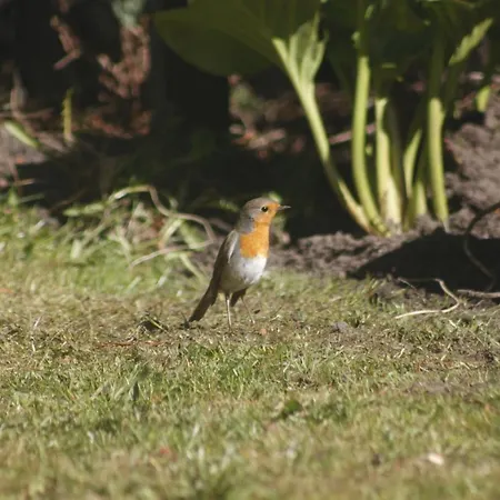 Hébergement de vacances Bursztynowy